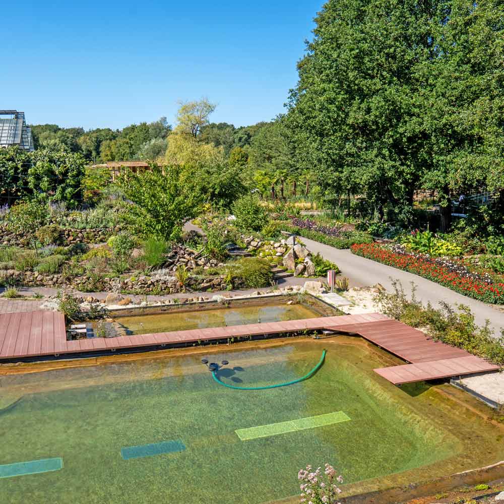 Artikelbild 3 des Artikels “Steg über Stegkonfigurator “