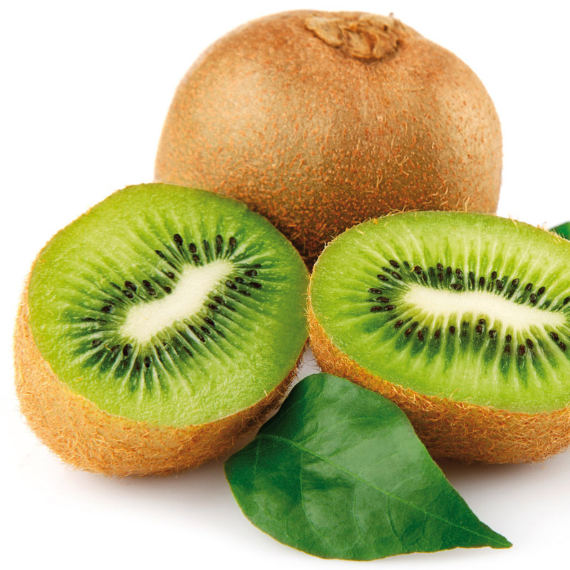 Artikelbild 4 des Artikels “Kiwi “