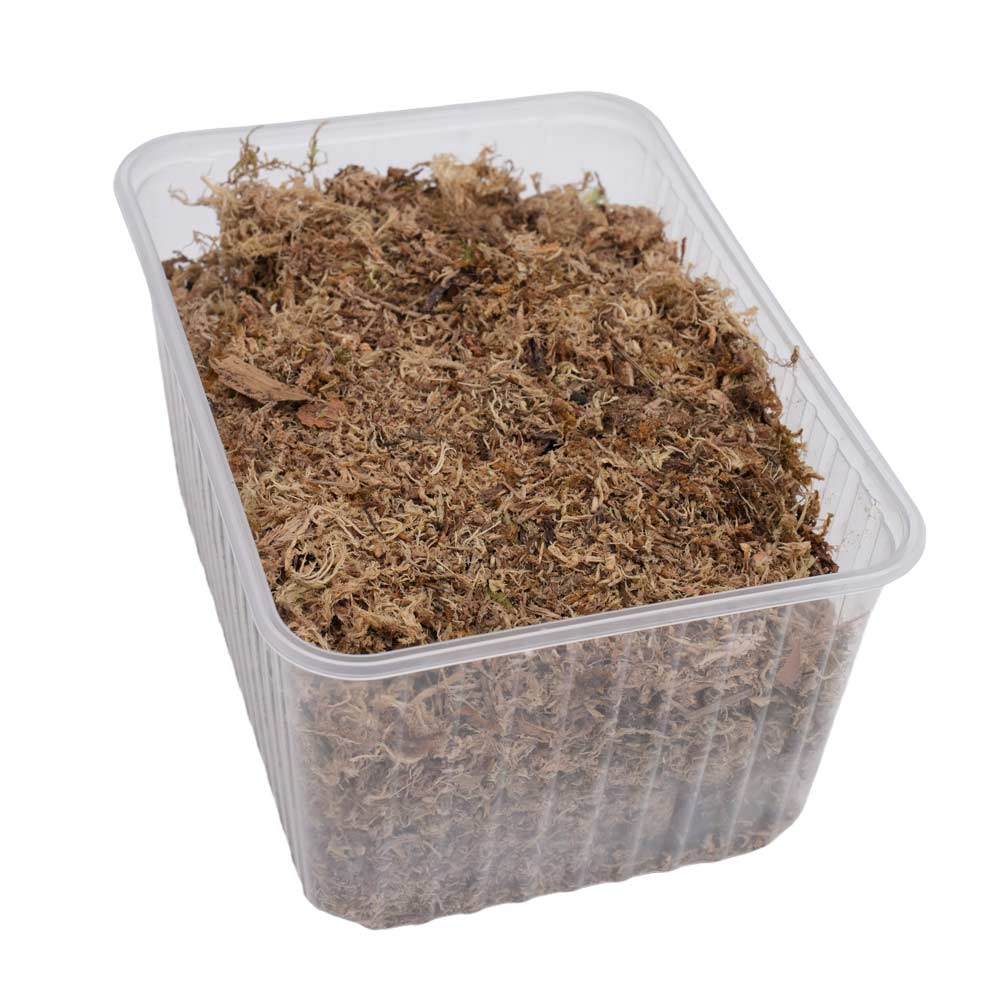 Artikelbild 4 des Artikels “Ufermatten-Moos inkl. Startdünger “