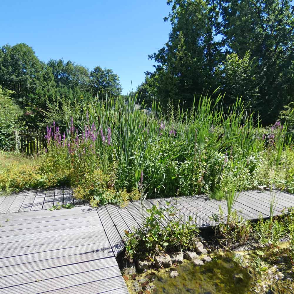 Artikelbild 4 des Artikels “Steg über Stegkonfigurator “