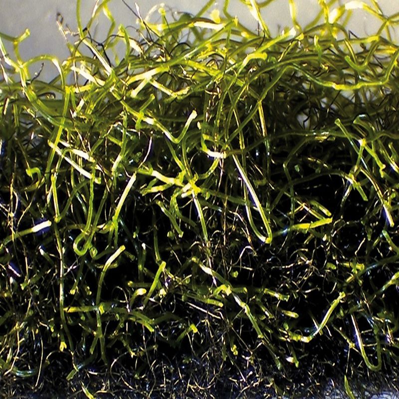 Artikelbild 4 des Artikels “NaturaGart-Ufermatte 100 cm breit“