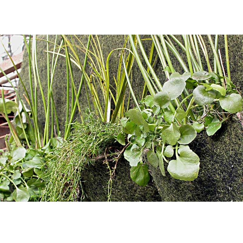 Artikelbild 4 des Artikels “NaturaGart Taschenmatte TM 200 “