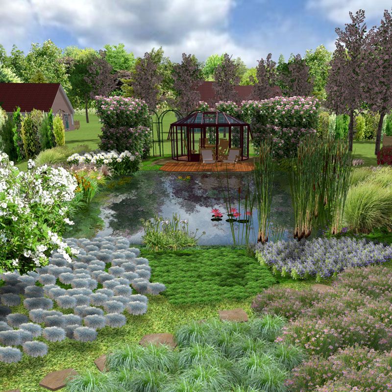 Artikelbild 4 des Artikels “Naturteich 