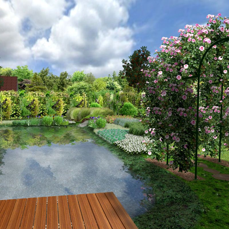 Artikelbild 4 des Artikels “Naturteich 