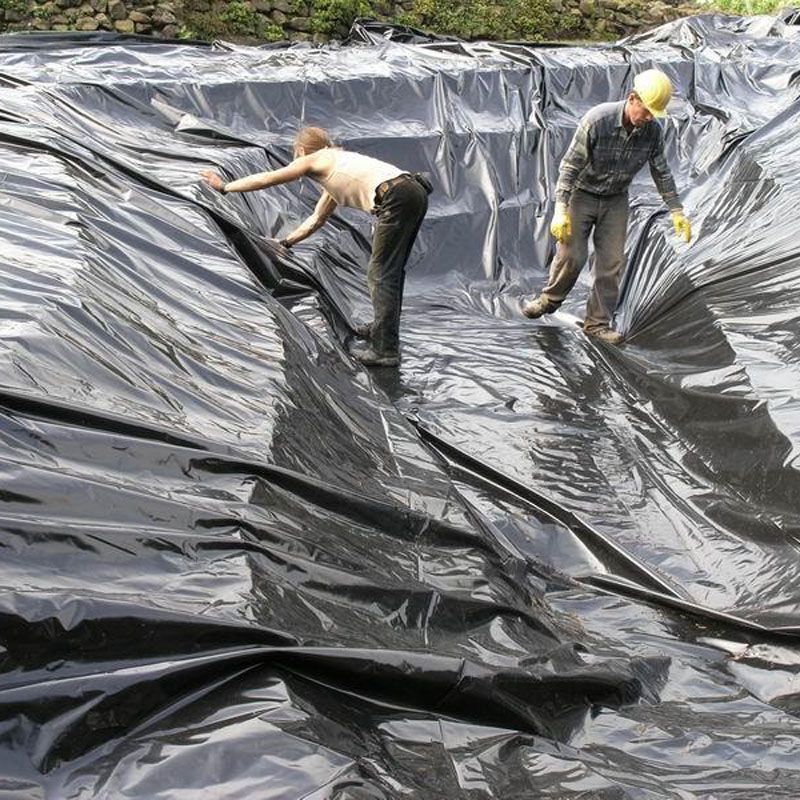 Artikelbild 5 des Artikels “NaturaGart PE Sicherungsfolie, 8 m breit “