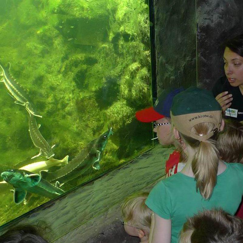 Artikelbild 5 des Artikels “NaturaGart Teichfenster 72 x 147 cm “