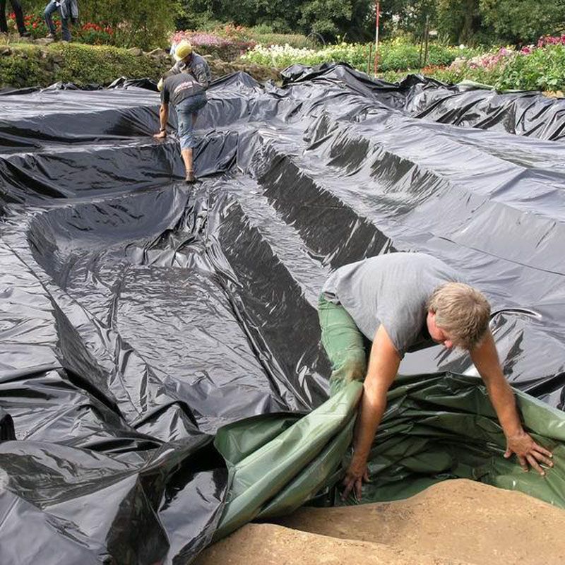 Artikelbild 6 des Artikels “NaturaGart PE Sicherungsfolie, 6 m breit “