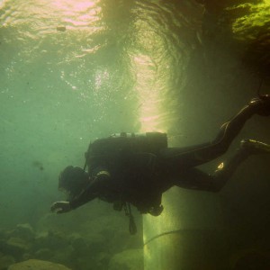 Bild eines Tauchers im NaturaGart Unterwasserpark