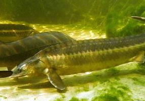 01-wassertechnik