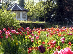 Frühlingsblüher im NaturaGart Park