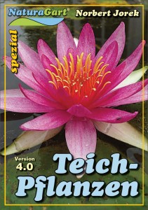 Die Pflanzanleitung für Teichpflanzen