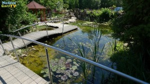 Stege und Teichbrücke mit Geländer