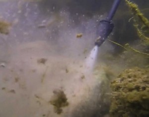 Unterwasserpark reinigen
