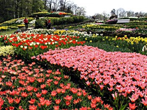 Blühende Blumenbeete