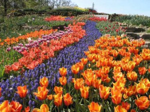 Blumenbeete im NaturaGart Park in Ibbenbüren