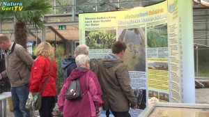Besucher beim NaturaGart Teich-Treff im Herbst 2013