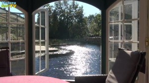 Blick aus dem Pavillion auf den Gartenteich.