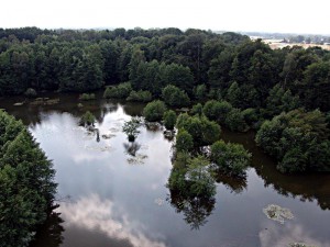 Die Wasserwildnis - ein wild gelassener Teil des NaturaGart Parkes