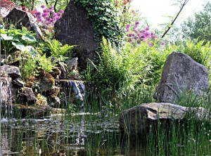 Teichufer mit kleinem Wasserfall