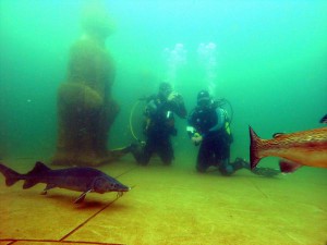 Störe bei den Tempelwächtern