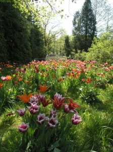 Der Blumenversand beliefert nicht nur Kunden, sondern auch den eigenen Park aus der angeschlossenen Gärtnerei