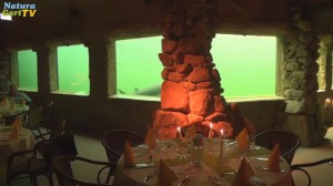 Candle-Light-Dinner im Kaltwasseraquarium