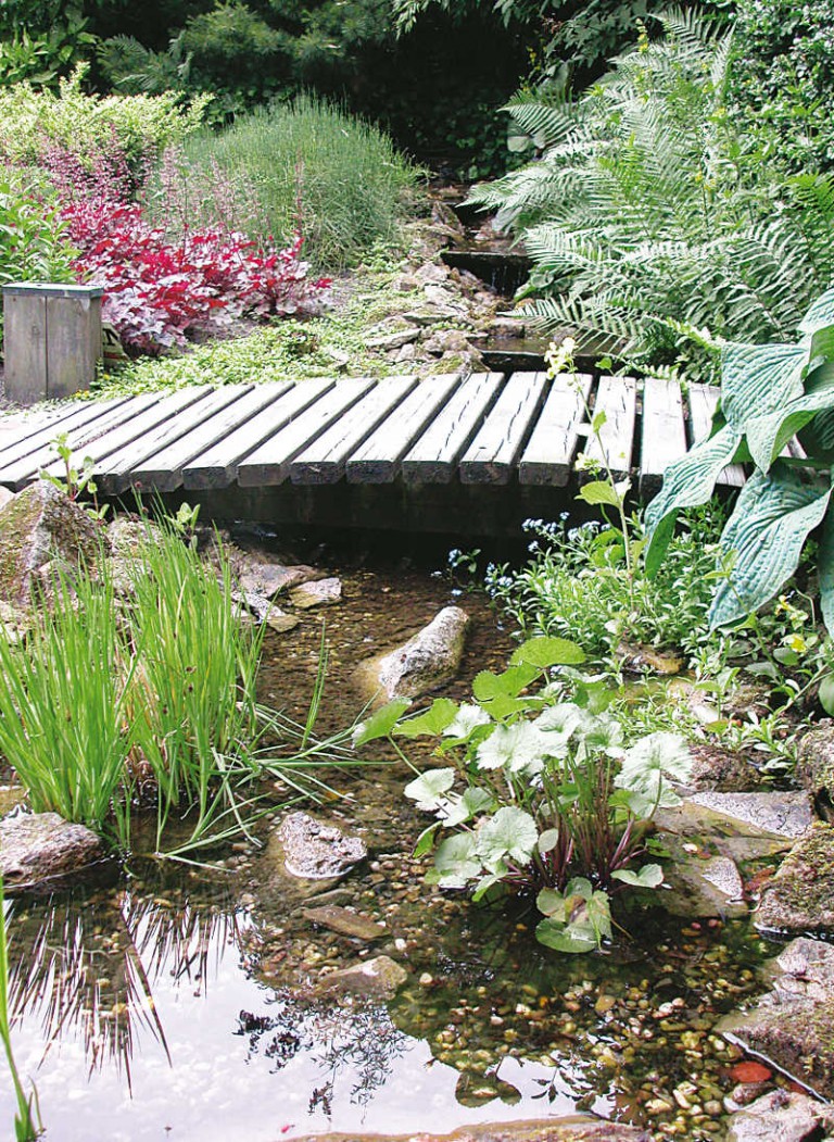 Der‭ ‬selbst gebaute Gartenteich | Gartenteich Planung, Bau und Pflege