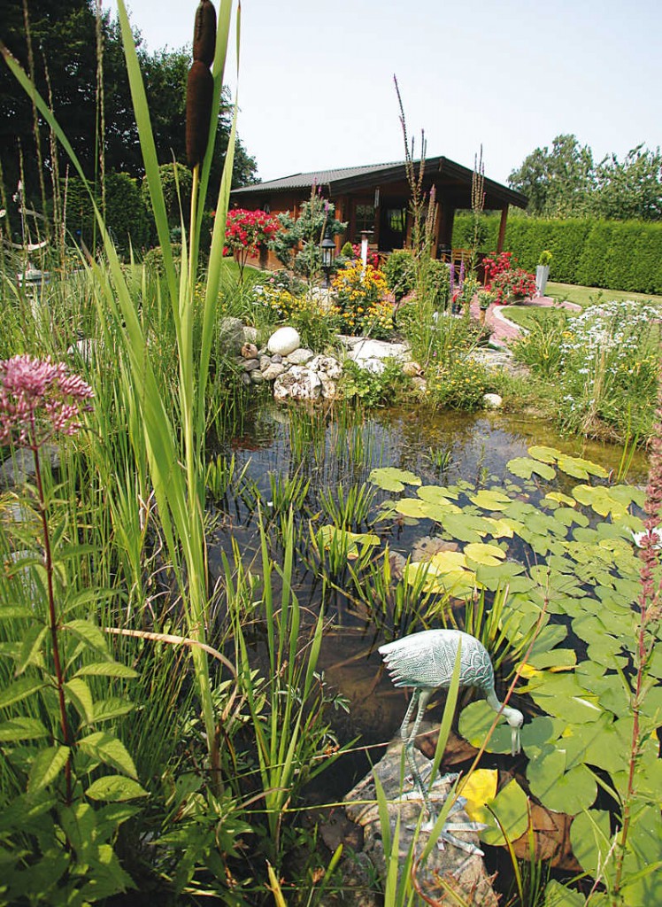 Der‭ ‬selbst gebaute Gartenteich | Gartenteich Planung, Bau und Pflege