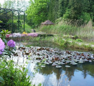 Ein natürlicher Gartenteich ohne Technikeinsatz