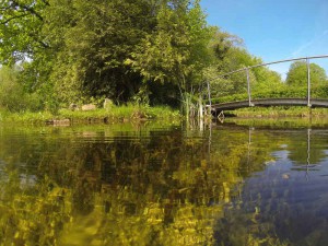 Klares Wasser: Das biologische Gleichgewicht stellt sich selbst ein