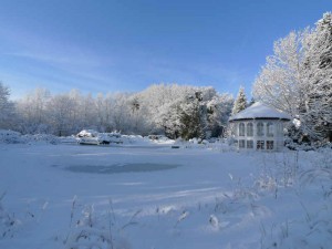 Lange Vereisung und viele Sedimente am Boden: Der Sauerstoff im Naturteich wird knapp