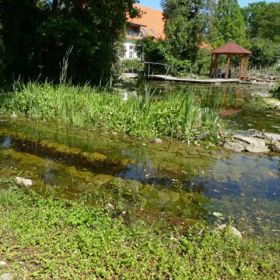 Gartenteich, Schwimmteich, Fischteich, Naturteich zum SelberBauen