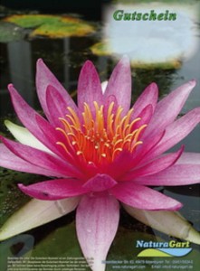 geschenkgutschein-per-post-naturagart-2