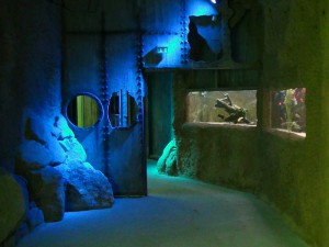 Kaltwasseraquarium: die Eröffnung hat sich verzögert