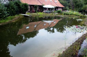 Ein Schwimmteich der Größe „Ideal“