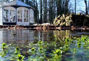 Im Winter läuft das Leben in den Teichen in Zeitlupe ab.