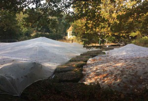 Noch sind die Teiche zum Schutz vor Laub eingepackt.