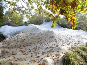 Die Laubabdeckung hält einen großen Eintrag an Nährstoffen vom Teich fern.