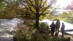 Im Eingangsbereich des Parks liegen mehrere sehr natürlich angelegte Teiche. 