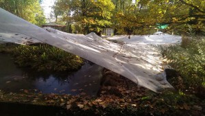 Blick unter das Teichnetz.