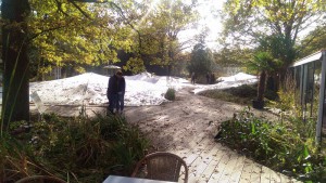 Im NaturaGart-Park findet man weitläufige Steg- und Brückenanlagen.