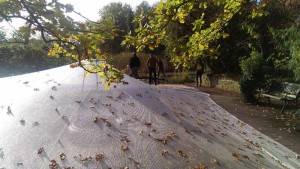 Den Gartenteich im Herbst abdecken bedeutet, massiven Blatteintrag zu vermeiden.