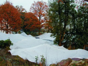 Mit speziellen Netzen werden auch große Teichanlagen gegen das Laub der umliegenden Wälder geschützt.