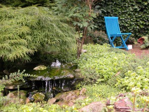 Der Miniteich: ein Juwel auf der Terrasse wie im Garten