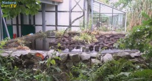 Moor-Teich im NaturaGart Park