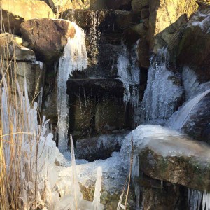Dieser Anblick ist selten: der große Wasserfall des Parks im Winterkleid.
