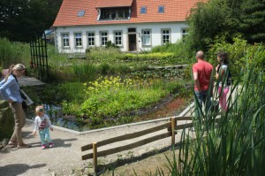 nachrichten-naturagart-ufergraben-4