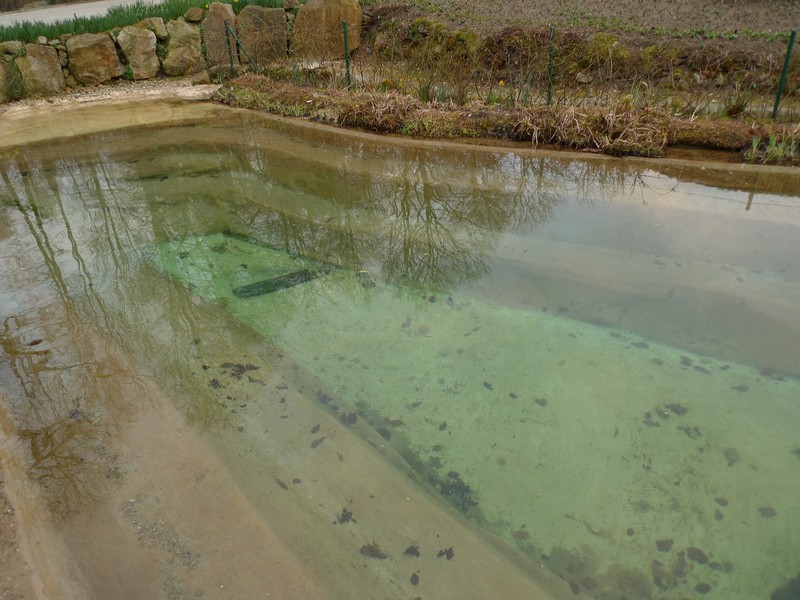 Naturagart Teichforum Schwimmteich Gartenteich Selber Bauen