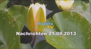 Seerosen im NaturaGart-Park sind einer der Höhepunkte des neuen Videos.