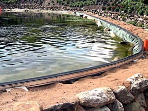 Teichrand mit Uferband